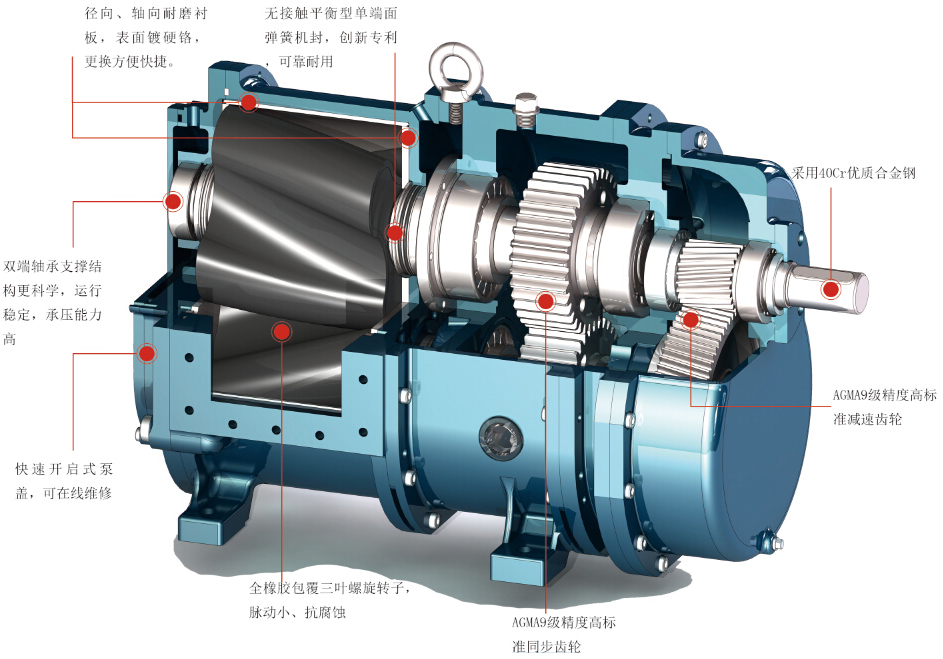 羅德凸輪轉(zhuǎn)子泵結構展示20160111